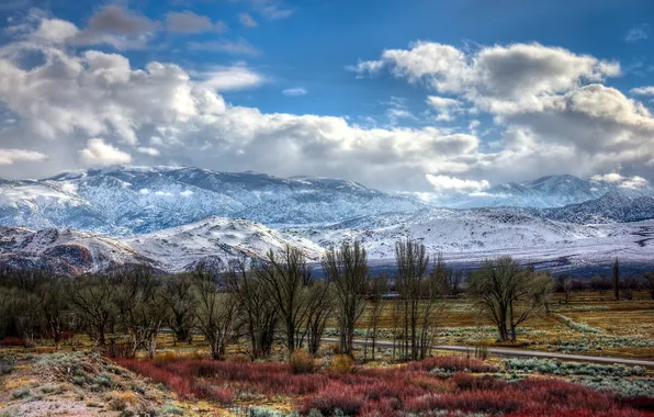 Дорога, деревья, пейзаж, горы