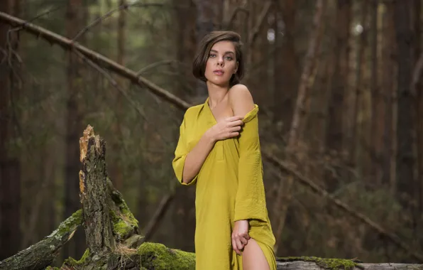 Картинка Brunette, Dress, Dakota A, Wearing, from-Met-Art, in Forest