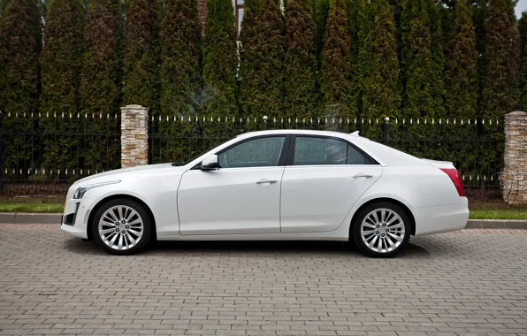 Cadillac, CTS, седан