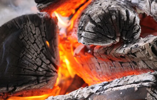 Fire, ash, carbon, heat, combustion, chain reaction