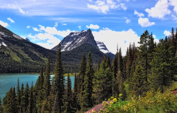 Лес, небо, горы, озеро, сша, монтана, glacier national park
