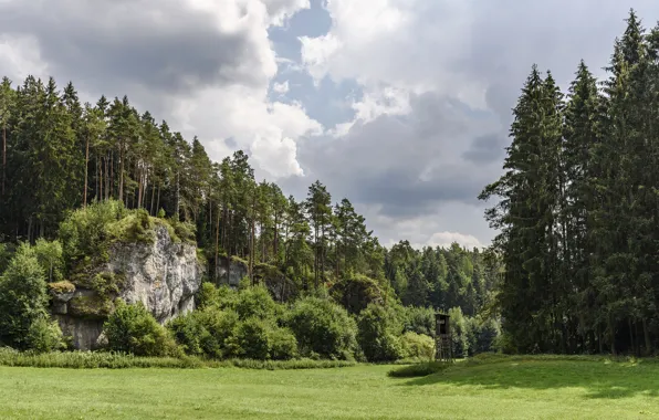 Лес, солнце, скалы, Бавария, Hollfeld