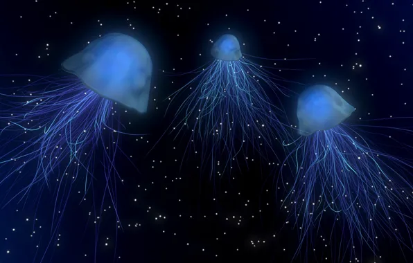 Картинка море, глубина, медузы