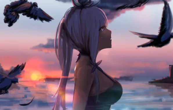 Закат, Девушка, Птицы, Azur Lane