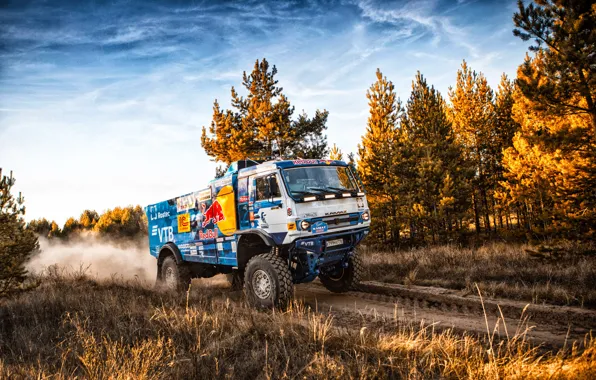 Машина, Скорость, Грузовик, Гонка, Мастер, Россия, Kamaz, Rally