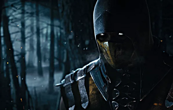 Scorpion, Mortal Kombat X, Ninja-Ghost, Mortal Kombat 10