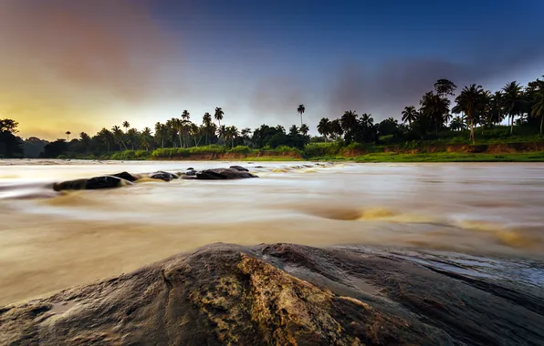 Картинка природа, река, пальмы, Pinnawala, Sri-Lanka
