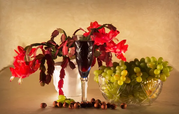 Цветы, вино, бокал, виноград, ваза, орехи, фундук, Schlumbergera