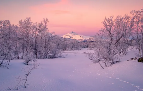 Картинка зима, снег, деревья, горы, следы, Норвегия, Norway, Тромс
