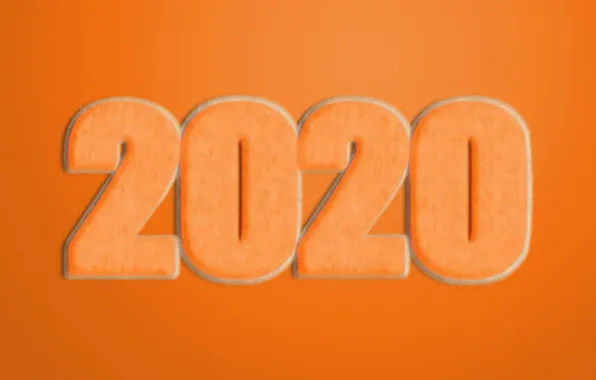 Новый год, мех, New Year, 2020