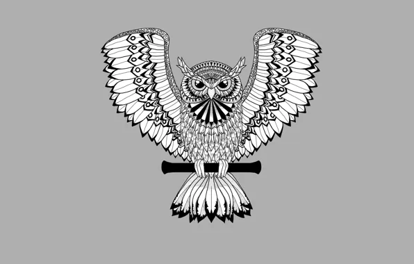 Сова, птица, светлый фон, owl