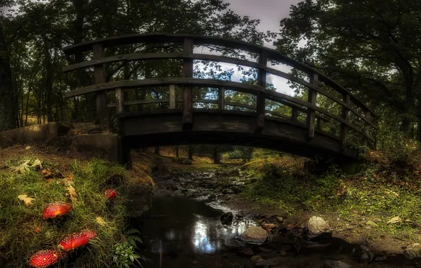 Картинка осень, мост, парк, грибы
