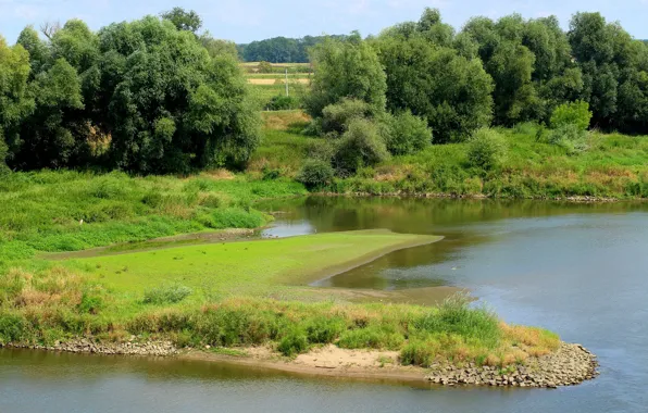 Лето, природа, река
