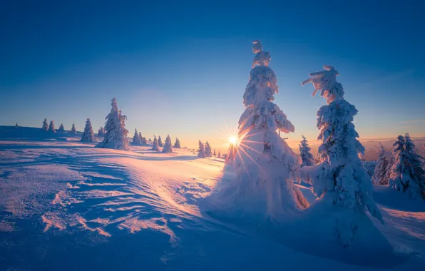 Картинка зима, солнце, лучи, снег, деревья, пейзаж, закат, горы