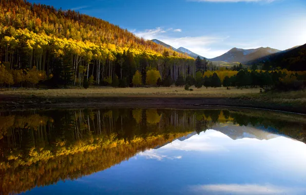 Картинка осень, лес, озеро, отражение, гора