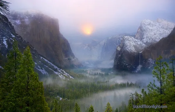 Картинка зима, лес, горы, утро, Калифорния, США, Национальный парк Йосемити, Foresta