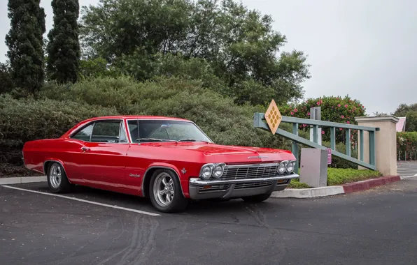 Картинка Chevrolet, 1965, Impala