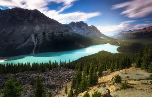 Картинка лес, горы, озеро, скалы, Канада