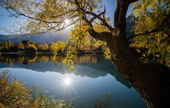 Картинка осень, озеро, отражение, дерево, Франция, France, Ла-Рош-де-Рам, La Roche-de-Rame