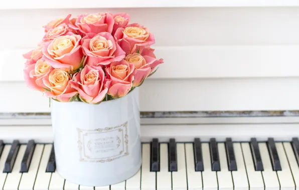 Любовь, цветы, коробка, розы, букет, рояль, love, пианино