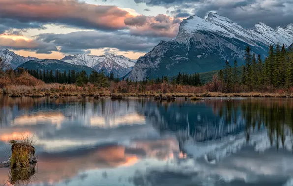 Лес, горы, озеро, Канада, Альберта, Banff National Park, Alberta, Canada