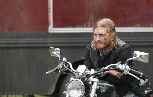 The Walking Dead, Dwight, Season 7, Austin Amelio