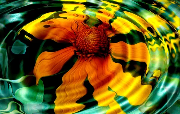 Картинка лепестки, желтый цветок, круги на воде