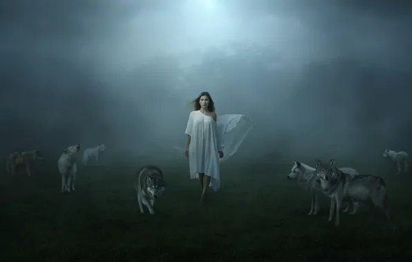 Картинка девушка, туман, волки