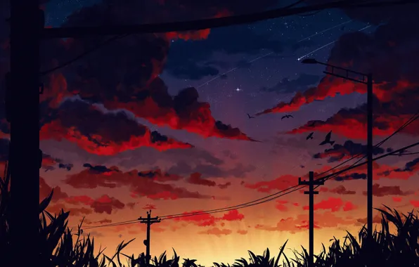Sky, bird, sunset, art, clouds, stars, artist, digital art