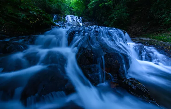 Лес, вода, деревья, река, камни, скалы, водопад, поток