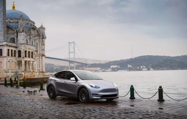 Istanbul, tesla, 2023, model y