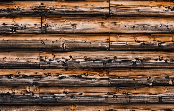 Картинка wall, nature, wood