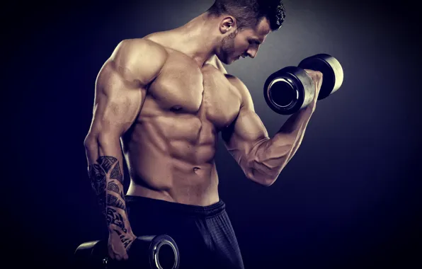 Картинка muscle, bodybuilder, barbell, weight training