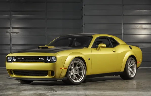 Dodge, Challenger, 50th Anniversary Edition, 2019