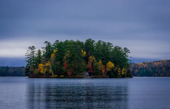 Картинка осень, лес, небо, деревья, тучи, озеро, остров