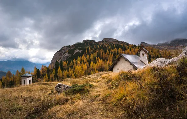 Осень, лес, трава, облака, горы, камни, пасмурно, вершины