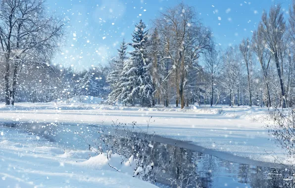 Картинка зима, небо, снег, деревья, пейзаж, природа, озеро