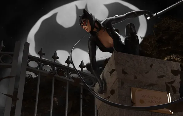 Женщина-кошка, DC Comics, Catwoman, Selina Kyle, Bat-Signal, Wayne Manor