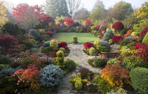 Картинка осень, деревья, цветы, дизайн, туман, газон, Англия, сад
