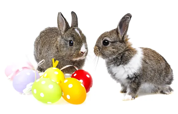 Картинка colorful, кролик, пасха, rabbit, пасхальный, eggs, easter, bunny