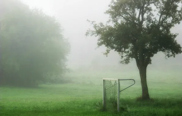 Картинка поле, туман, спорт, ворота