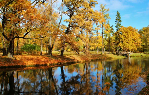Картинка осень, листья, вода, солнце, деревья, мост, пруд, парк