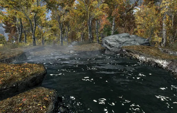 Деревья, озеро, trees, lake, skyrim, скайрим, tes 5