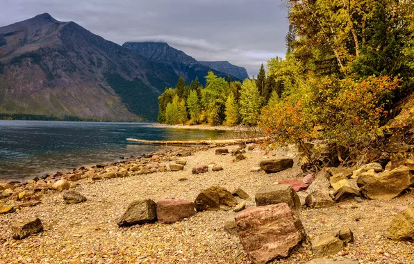 Осень, деревья, горы, озеро, камни, берег, Glacier National Park, Montana