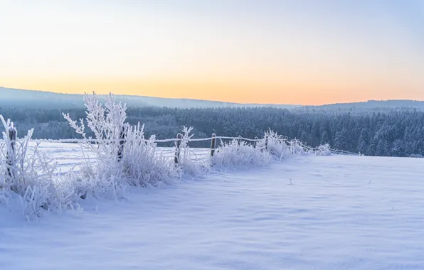Зима, иней, поле, лес, небо, снег, ветки, природа