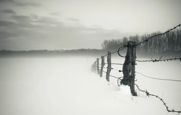 Картинка зима, поле, туман, забор