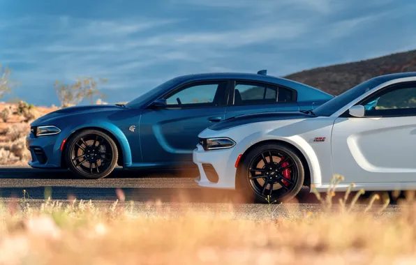 Дорога, Dodge, Charger, Hellcat, SRT, 2020, Dodge Charger SRT, Hellcat widebody
