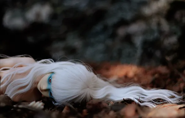 Картинка осень, Кукла, белые волосы