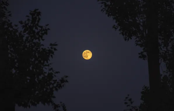 Red, moon, hot, photographer, night, orange, nice, armenia