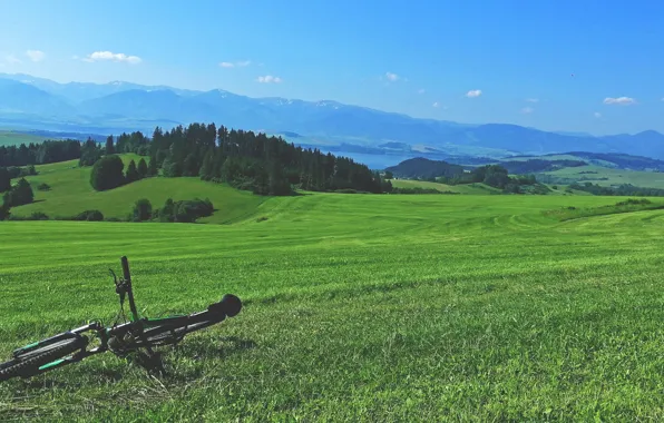 Bicycle, bike, meadow, sky blue, Slovakia, meadow grass, Liptov, mounatins